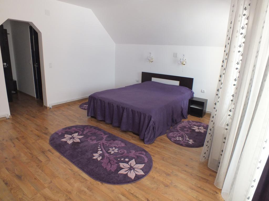 Pensiunea Eliza Hotel Podu Cosnii Quarto foto