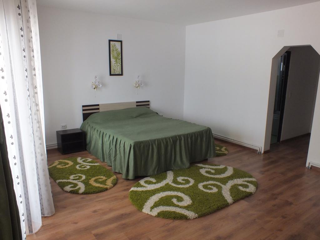 Pensiunea Eliza Hotel Podu Cosnii Quarto foto